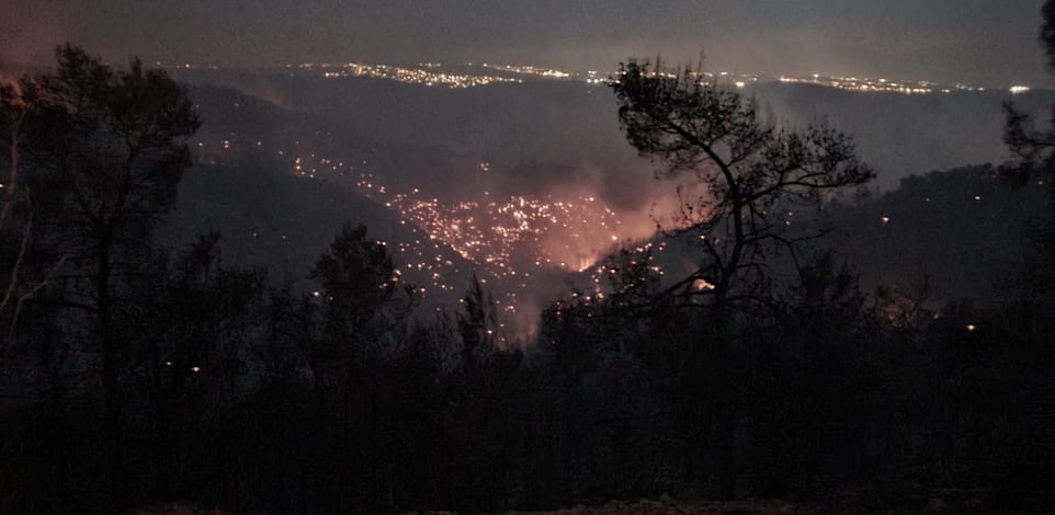 מוקדי השריפה בנחל צובה בין הר טייסים להר איתן / צילום: רועי שטראוס, רשות הטבע והגנים