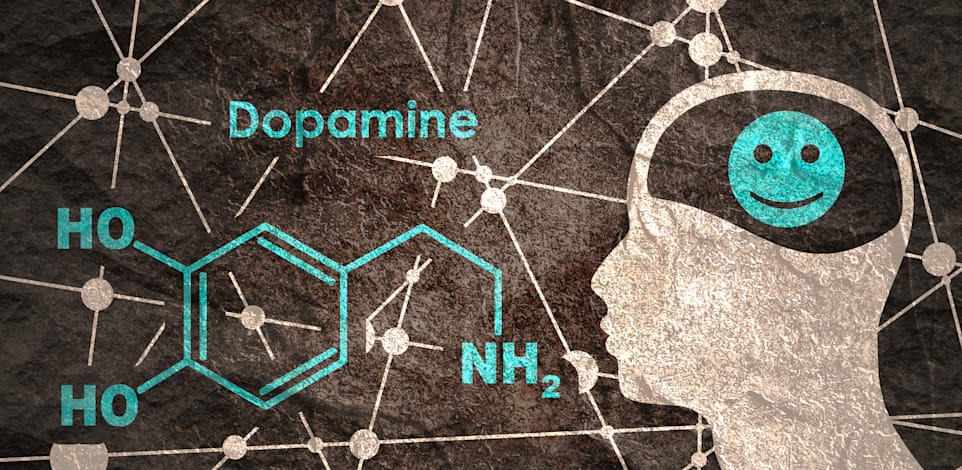 היתרונות של מאזן דופמין בריא יותר שווים את המאמץ / צילום: Shutterstock, GrAl