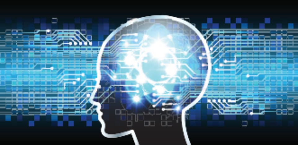 המוח הגמיש / צילום: Shutterstock