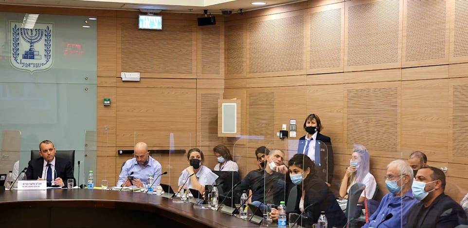 ועדת החוקה, חוק הרגולציה / צילום: נועם מושקוביץ, דוברות הכנסת