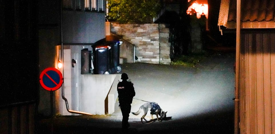 שוטר נורבגי חוקר את הרצח בעיירה קונגסברג / צילום: Reuters, NTB