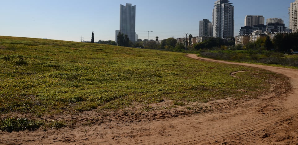 האתר המיועד לבניית מנחת מסוקים סמוך לצומת מורשה / צילום: איל יצהר