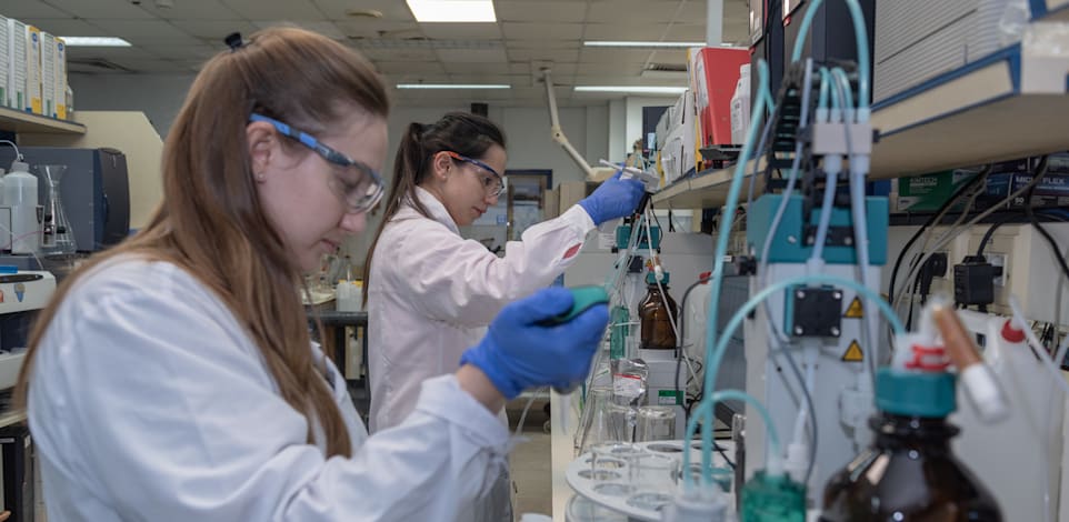 צילום: אלעד ברוק