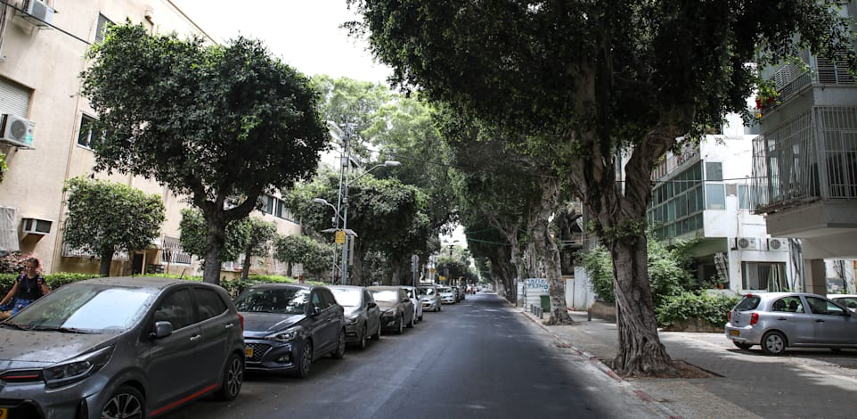 רחוב ריינס בתל אביב / צילום: כדיה לוי