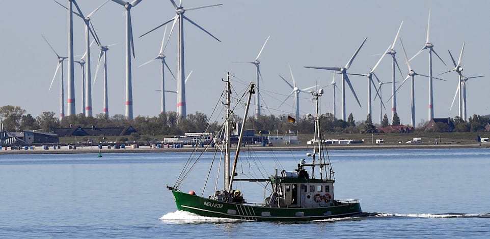 טורבינות רוח בים הצפוני בדנמרק / צילום: Associated Press, Heribert Proepper