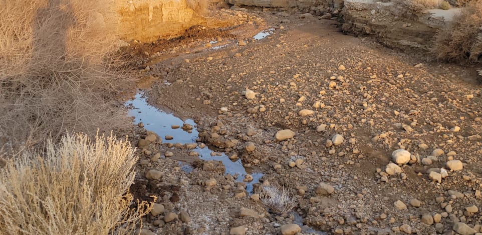 הדליפה באזור מניפת צאלים / צילום: רשות הטבע והגנים