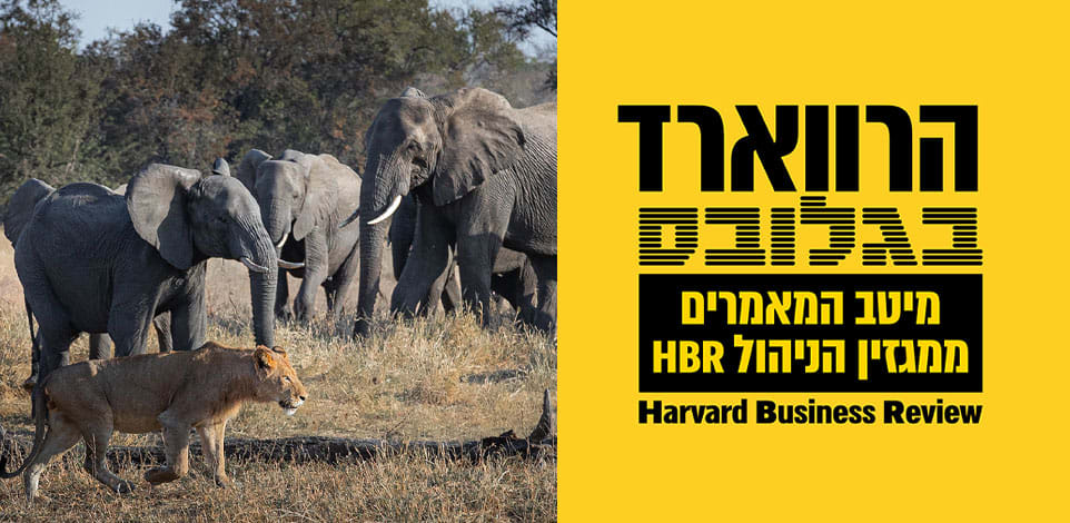 חפשו פתרונות בתעשיות שונות משלכם / צילום: Shutterstock