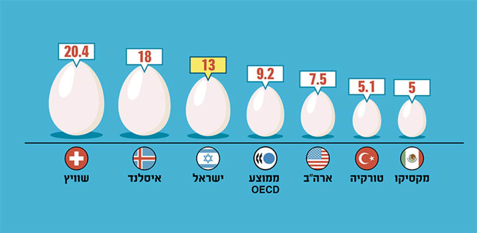 מחיר ממוצע של מארז 12 ביצים ברשתות השיווק הגדולות