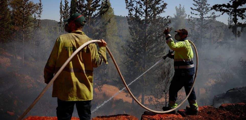 שריפה בהרי ירושלים, אוגוסט 2021 / צילום: Associated Press, Ariel Schalit