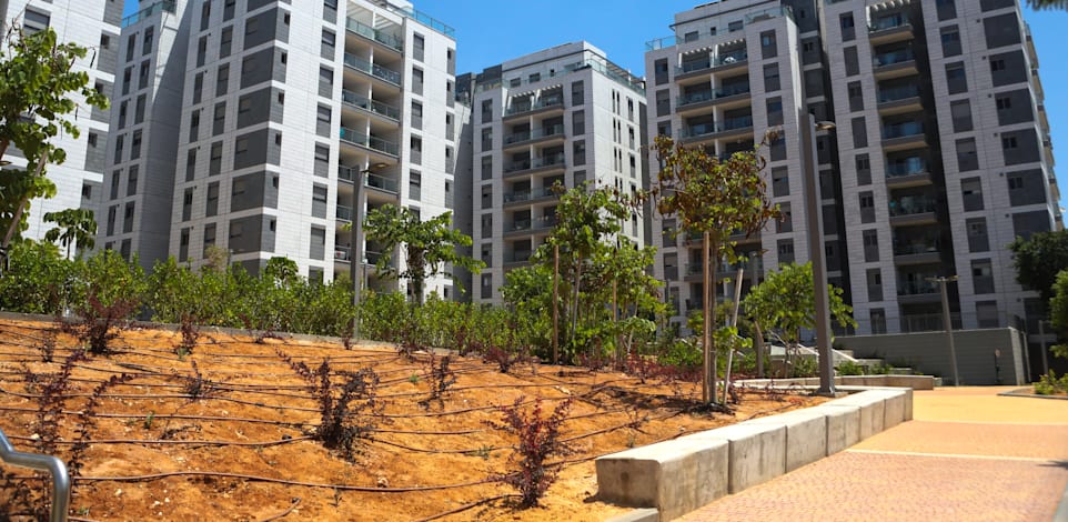 פרויקט דירה להשכיר, תל כביר, תל אביב / צילום: שלומי יוסף