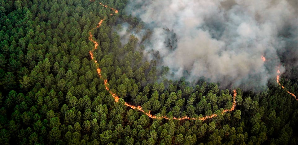 שריפת יער בבורדו, צרפת, בשבוע שעבר / צילום: Associated Press
