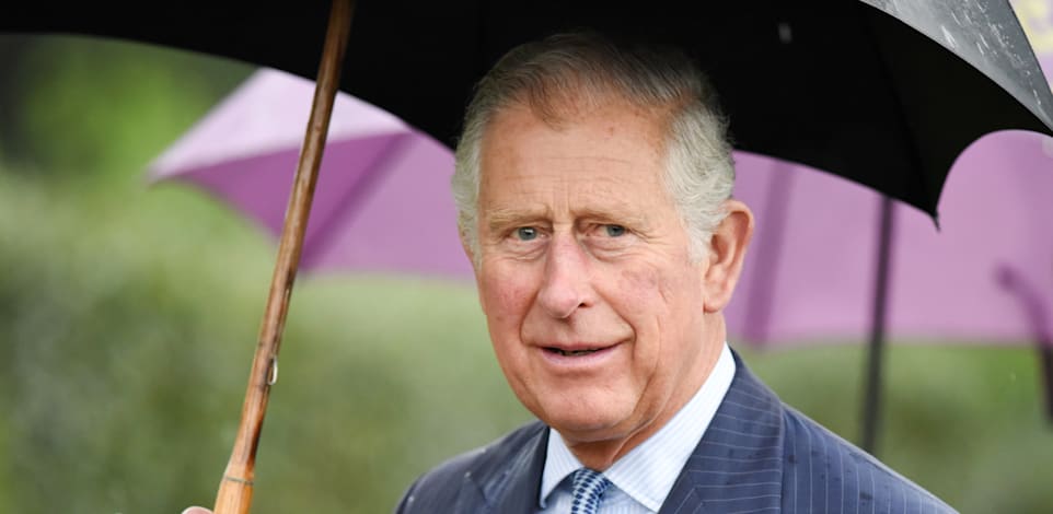 המלך צ'ארלס. מתי ערך ביקור רשמי בארץ? / צילום: Shutterstock