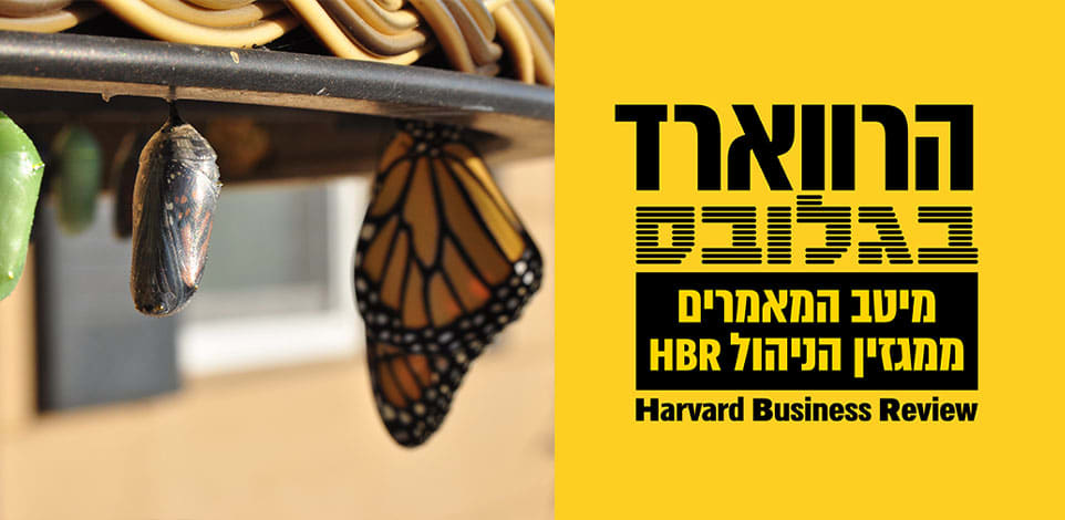 הרווארד בגלובס. על ניסיון תעסוקתי והצלחה בעבודה חדשה / צילום: Unsplash, Suzanne D. Williams