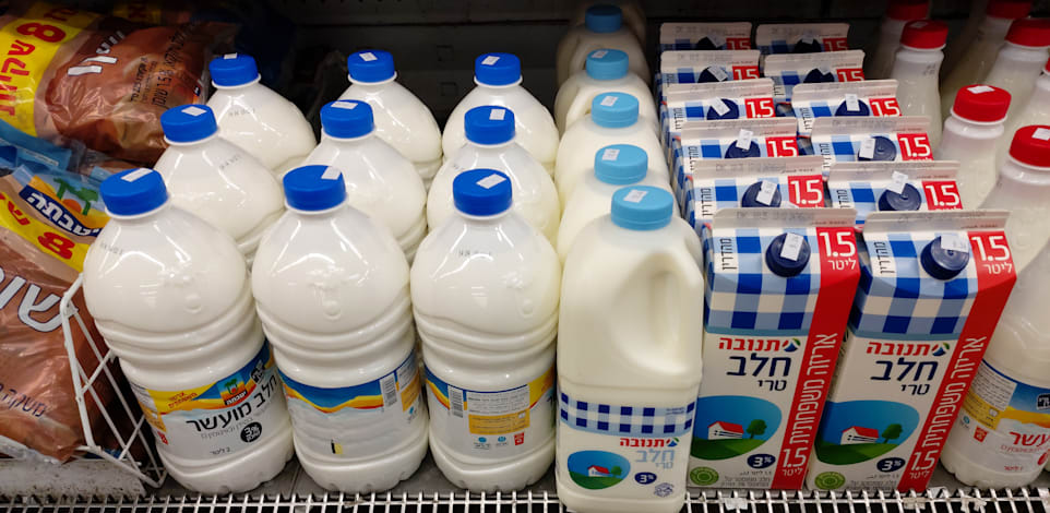 מוצרי חלב / צילום: איל יצהר