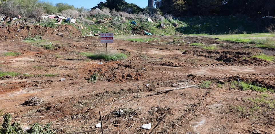 קרקע / צילום: איל יצהר