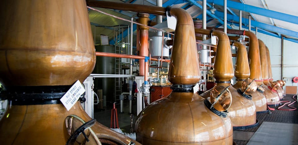 מזקקות וויסקי / צילום: Shutterstock