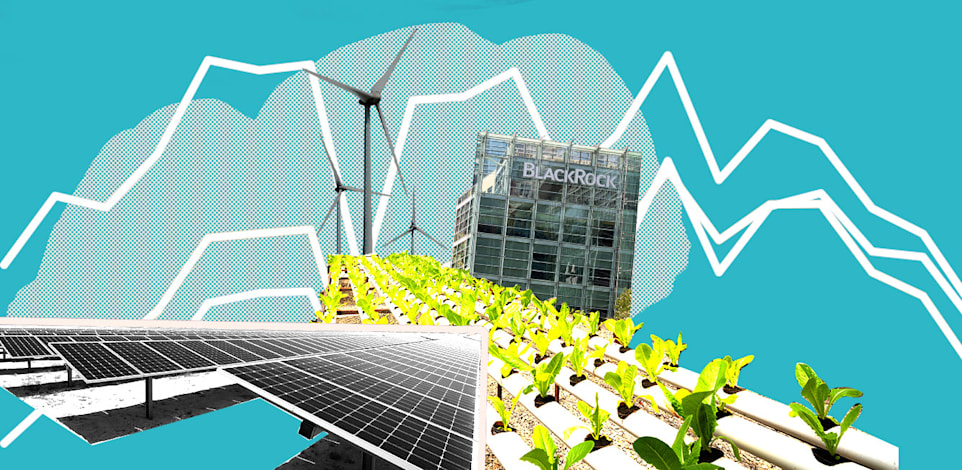 תחום ה-ESG / עיבוד: טלי בוגדנובסקי