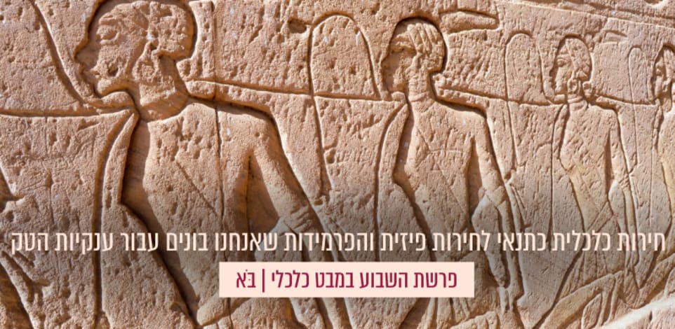 תחריטים של עבדים שנמצאו בתוך מקדש רעמסס במצרים / צילום: Shutterstock, Dietmar Rauscher