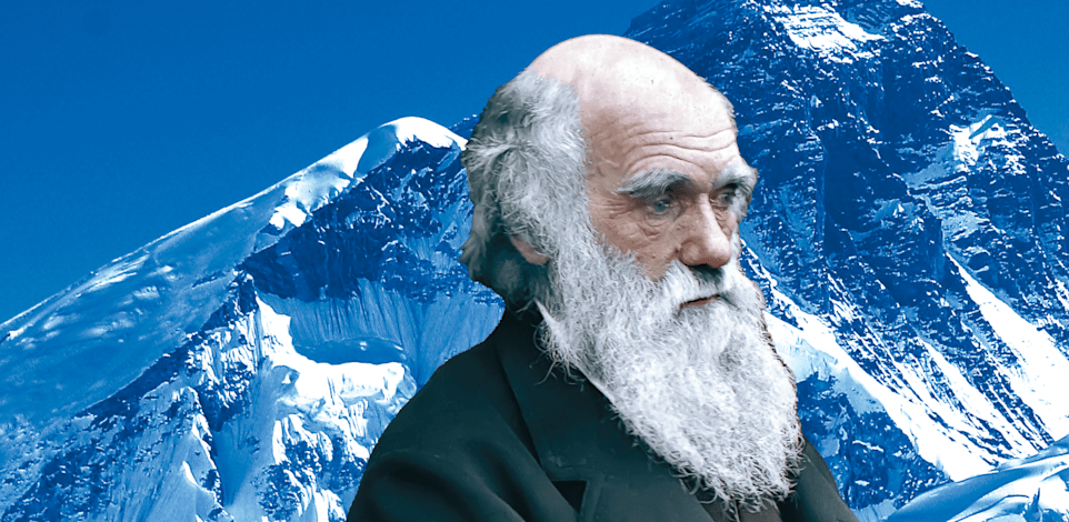 אבי תורת האבולוציה צ'ארלס דרווין / צילום: ויקיפדיה