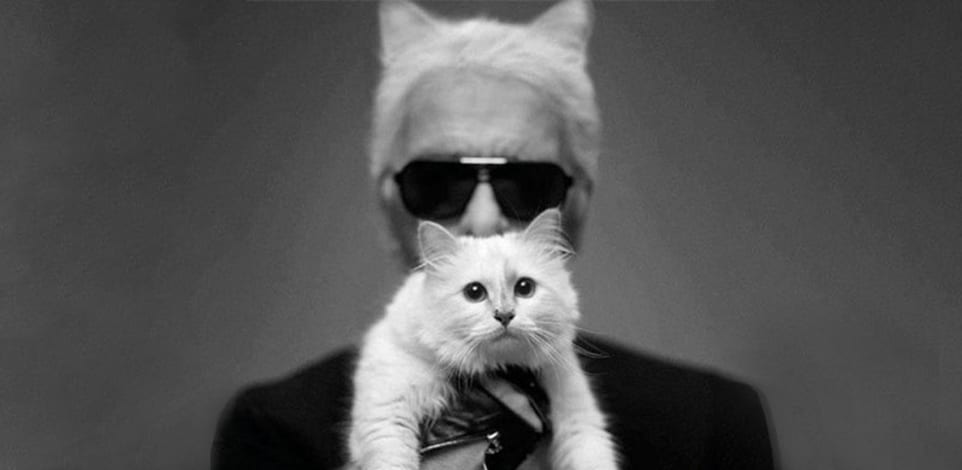 קרל לגרפלד והחתולה שופט / צילום: Reuters, BANG Showbiz