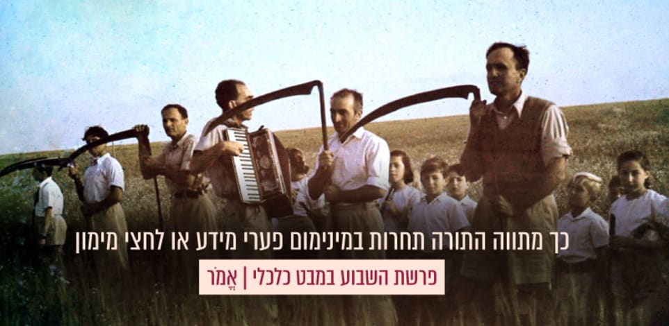 קציר תבואה בחג העומר, זכר למנחת העומר, קיבוץ גבעת חיים מאוחד, אמצע שנות ה־30 / צילום: ויקיפדיה