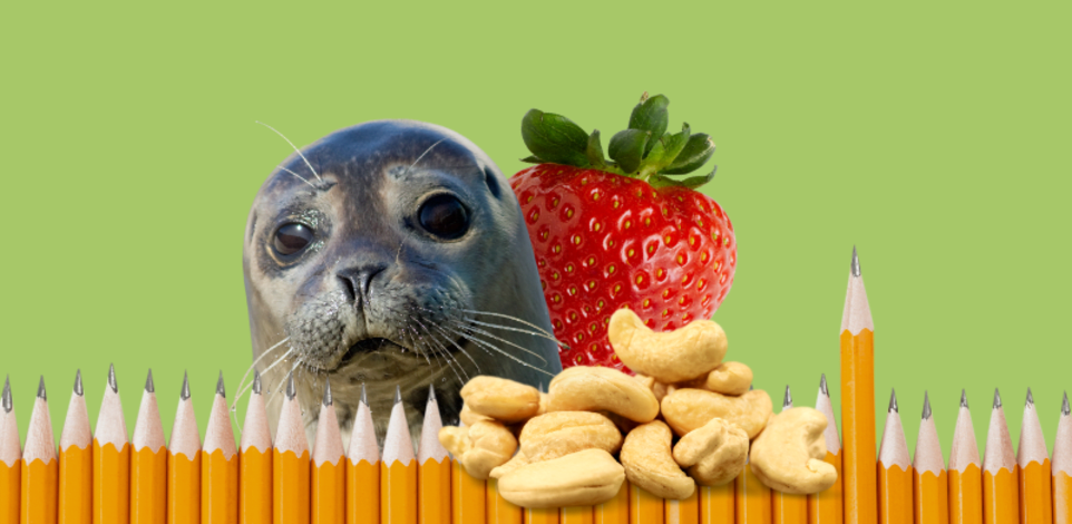 הטריוויה השבועית / צילום: Shutterstock