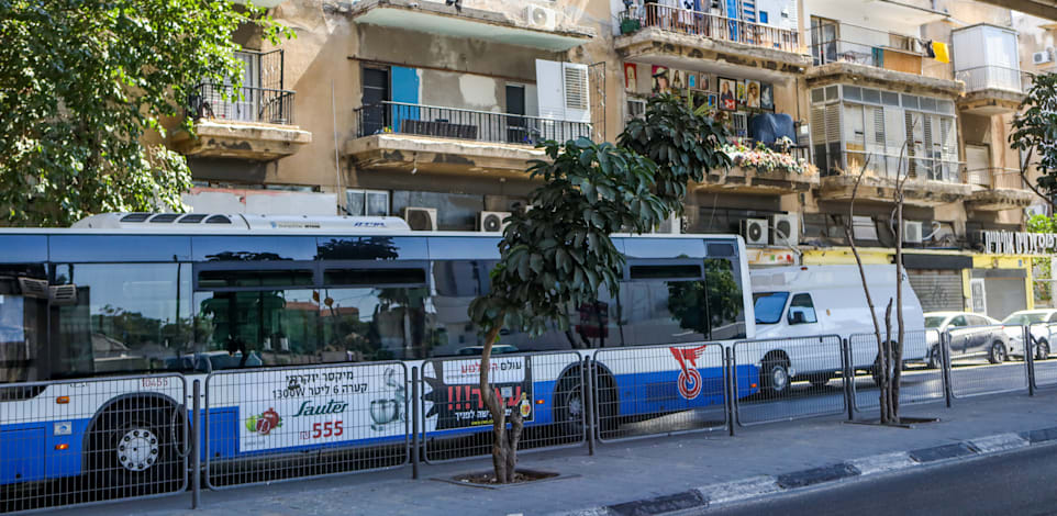 אוטובוס של חברת דן / צילום: שלומי יוסף