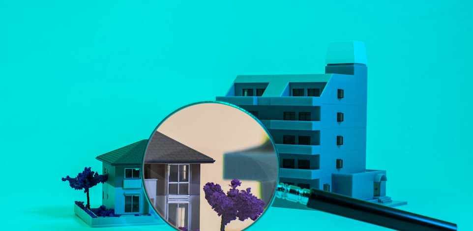 מדור נדלן / צילום: Shutterstock