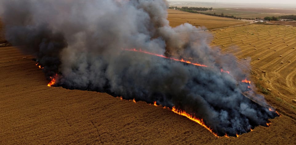 שדה חיטה ליד ניר עם עולה בלהבות לאחר שבלוני תבערה נשלחו מעזה / צילום: Shutterstock, Amir Cohen