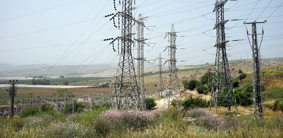 עמודי חשמל. ''אם הדבר הזה לא ינוהל כפי שצריך, נהיה במצב מאוד לא טוב'', מסביר כהן / צילום: Shutterstock