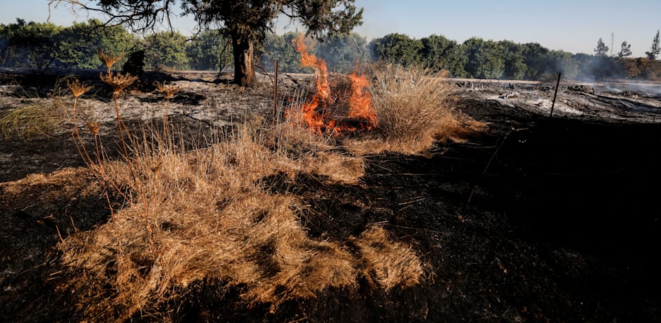 שריפה שפרצה בעוטף עזה בעקבות הפרחת בלוני תבערה / צילום: Reuters, AMIR COHEN