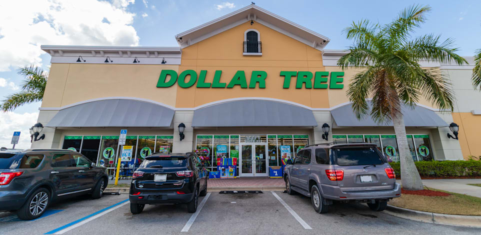 הרשת Dollar Tree / צילום: Shutterstock, John Mantell