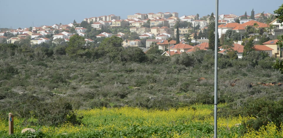 זכרון יעקב / צילום: איל יצהר
