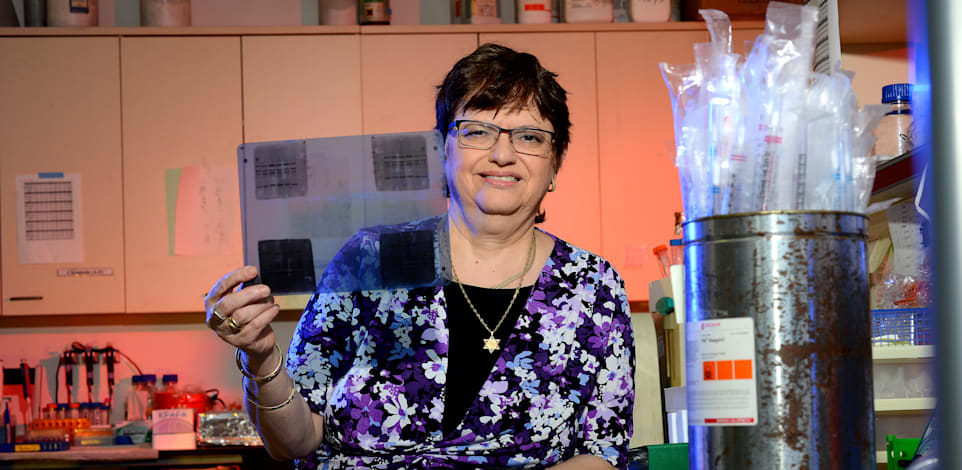 שולמית מיכאלי גולדברג פרופ' מדענית מיקרובילוגיה / צילום: איל יצהר