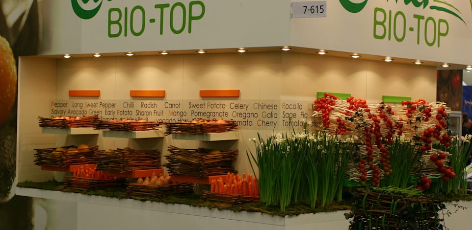 ירקות אורגניים של חברת אגרסקו / צילום: יח''צ