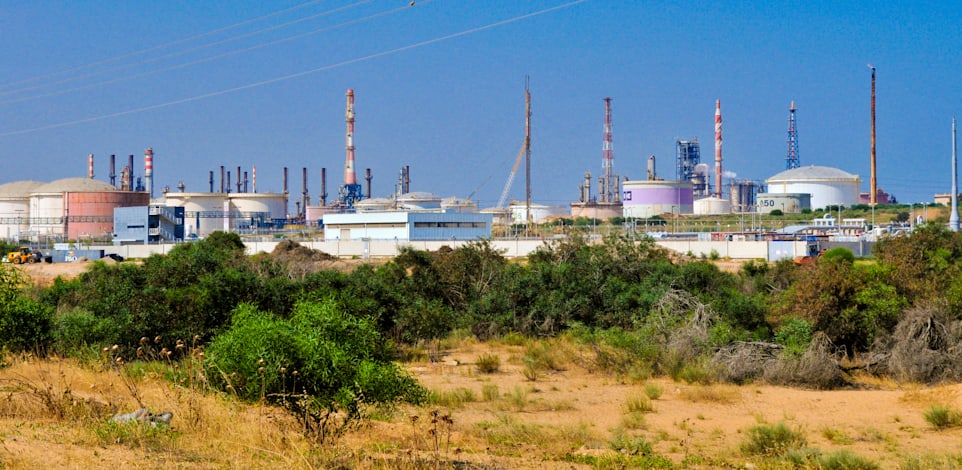 בית זיקוק אשדוד / צילום: רפי קוץ