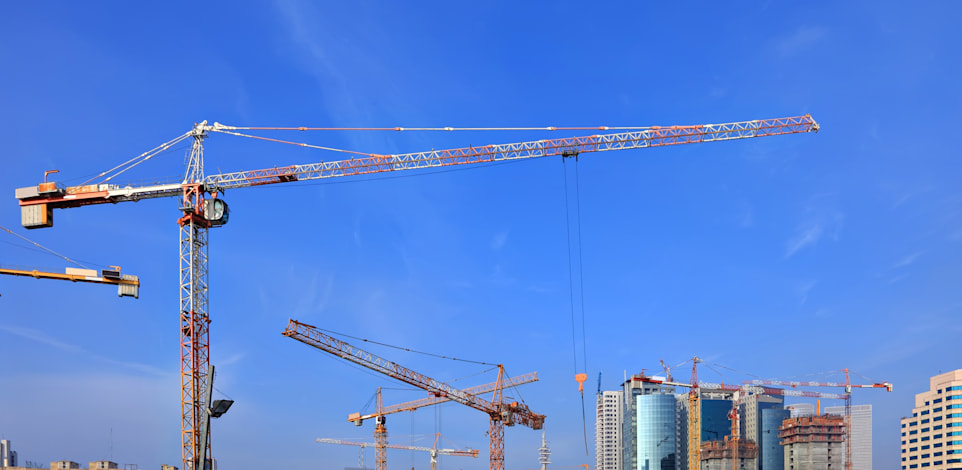 עגורן / צילום: Shutterstock, Protasov AN