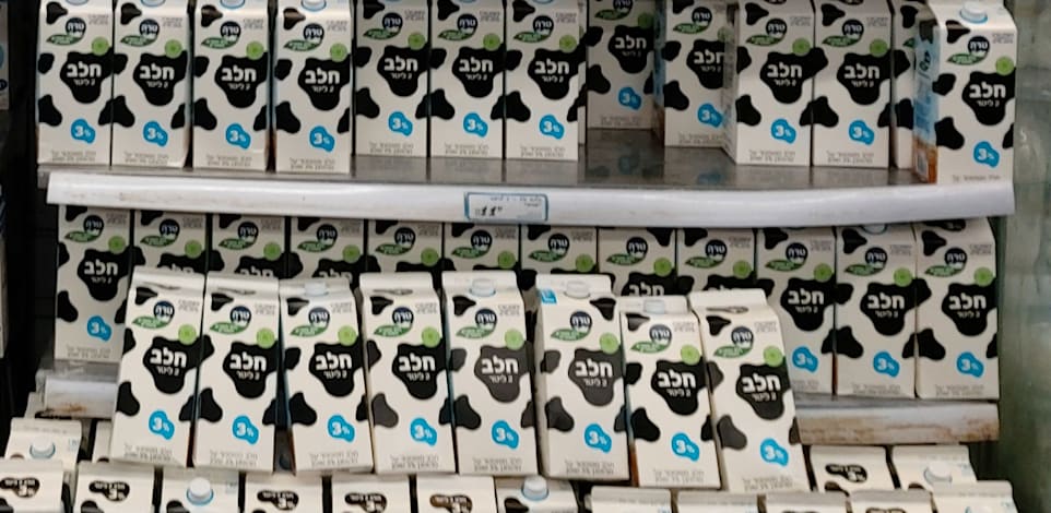 חלב של טרה / צילום: גלובס