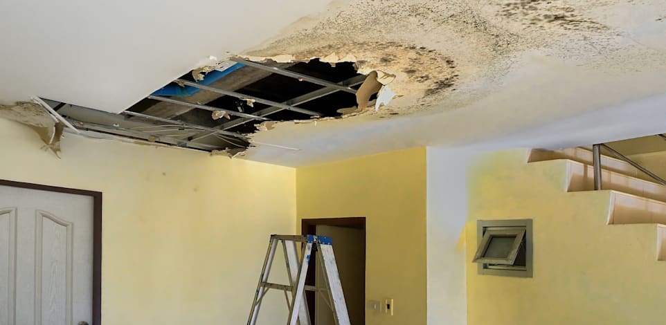 ליקויים בדירה / צילום: Shutterstock