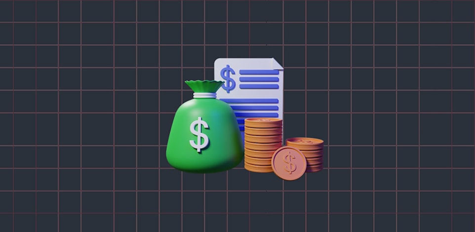 כמה מהתיק להחזיק בדולרים? / אילוסטרציה: Shutterstock