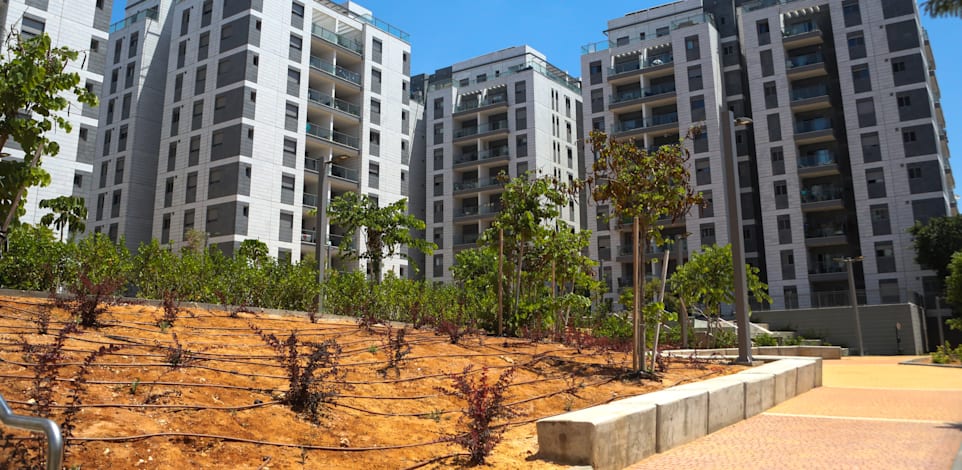 פרויקט הגדנ''ע בתל אביב / אילוסטרציה: שלומי יוסף