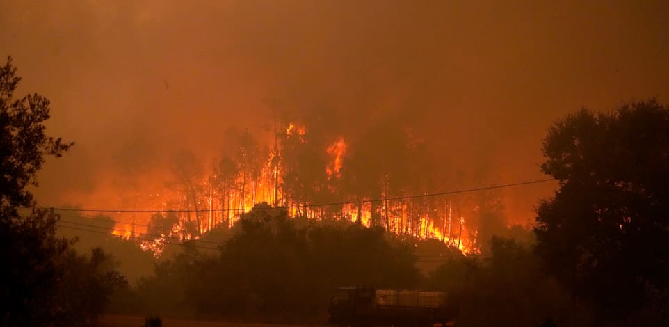 שריפות ענק במערב אירופה / צילום: Associated Press, Armando Franca