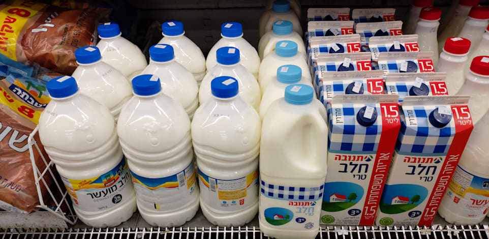 מוצרי חלב / צילום: איל יצהר