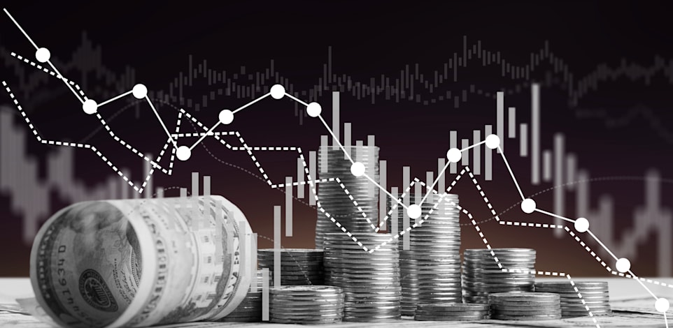 פסימיות היסטורית לגבי הגדלת ההכנסות בשנה הקרובה / אילוסטרציה: Shutterstock