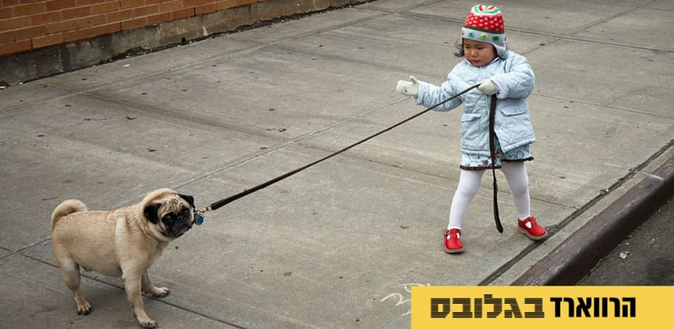 למה כל כך קשה לנו לבקש עזרה / צילום: Unsplash, vidar nordli