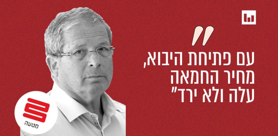 אבשלום וילן, מזכ''ל התאחדות החקלאים / צילום: יוסי זמיר