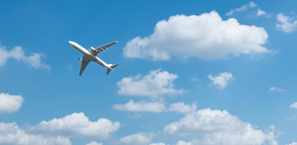 מדיניות של חברות התעופה / צילום: Shutterstock