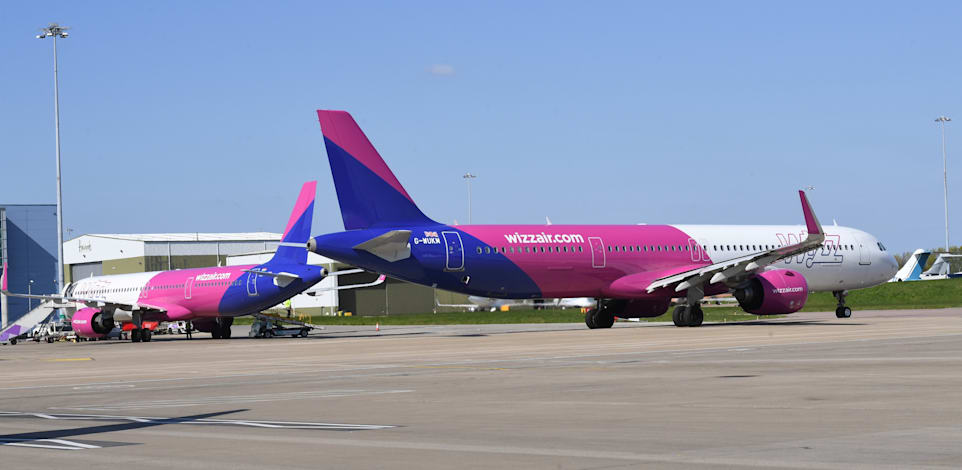 מטוסי וויזאייר / צילום: יח''צ