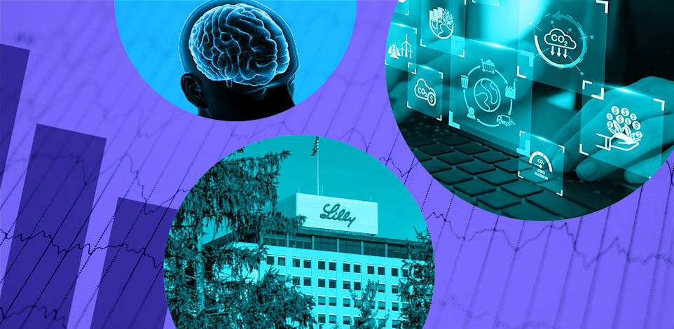 צילומים: Shutterstock, עיצוב: טלי בוגדנובסקי