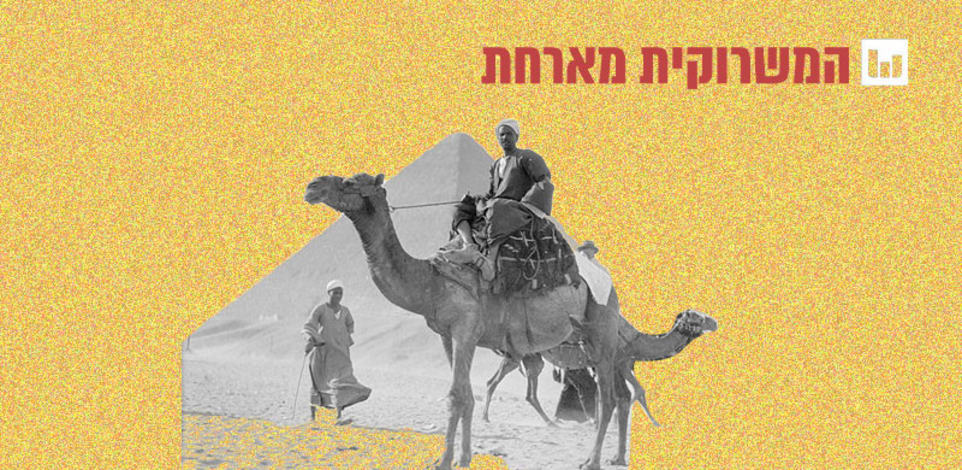 גמלים בגיזה / צילום: אוסף מטסון, ספריית הקונגרס